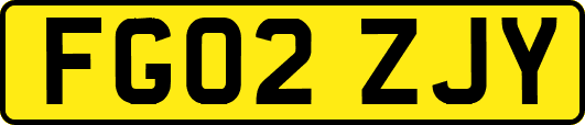 FG02ZJY