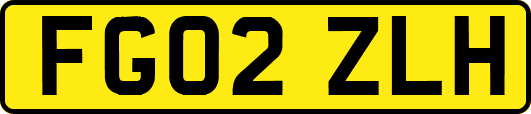 FG02ZLH