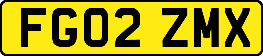 FG02ZMX
