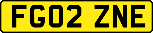 FG02ZNE