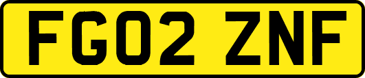 FG02ZNF