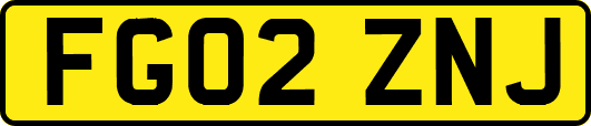 FG02ZNJ