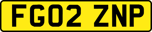 FG02ZNP