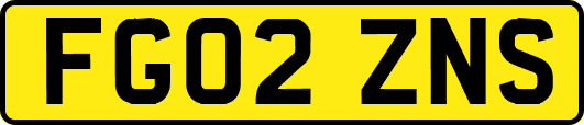 FG02ZNS