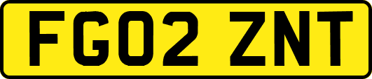 FG02ZNT