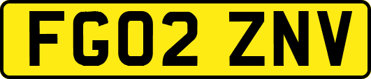 FG02ZNV