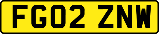 FG02ZNW