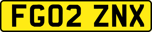FG02ZNX