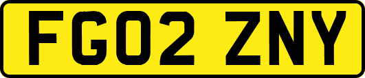 FG02ZNY