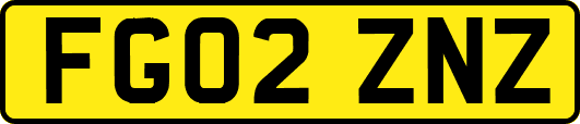 FG02ZNZ