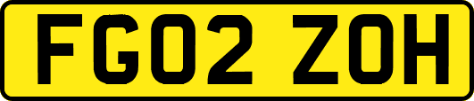 FG02ZOH