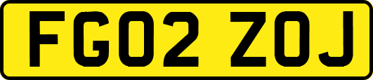 FG02ZOJ