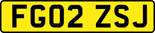 FG02ZSJ