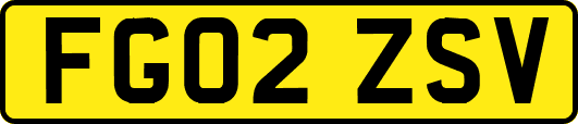 FG02ZSV