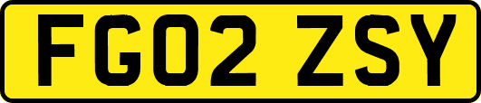 FG02ZSY