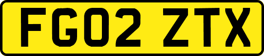 FG02ZTX