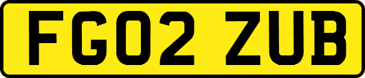 FG02ZUB