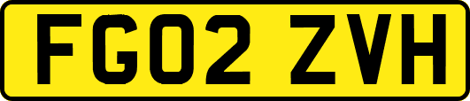 FG02ZVH