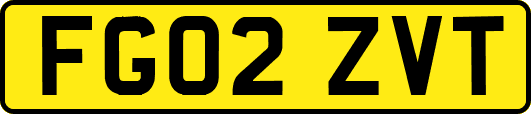 FG02ZVT