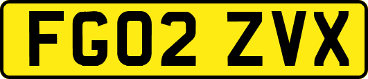 FG02ZVX