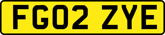 FG02ZYE