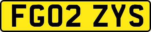 FG02ZYS