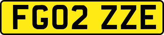 FG02ZZE