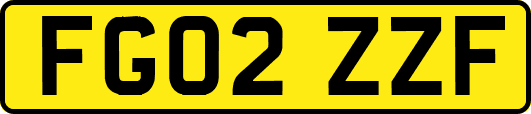 FG02ZZF
