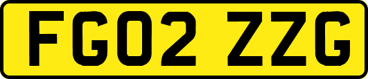 FG02ZZG