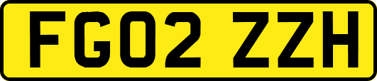 FG02ZZH