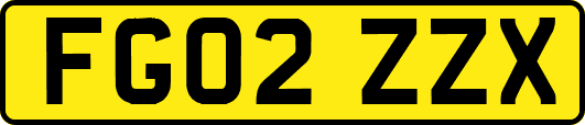 FG02ZZX