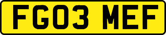 FG03MEF