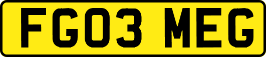 FG03MEG