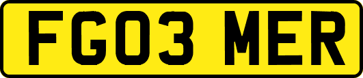 FG03MER