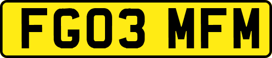 FG03MFM