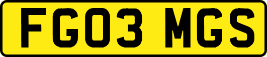 FG03MGS