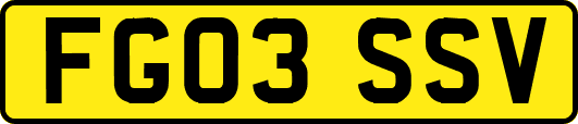 FG03SSV