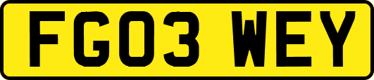 FG03WEY