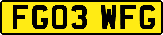 FG03WFG