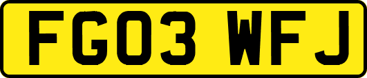 FG03WFJ