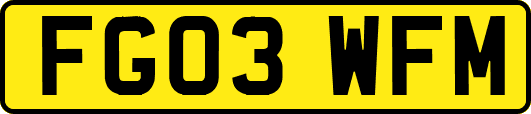 FG03WFM