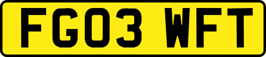 FG03WFT