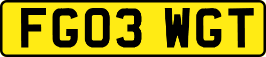 FG03WGT