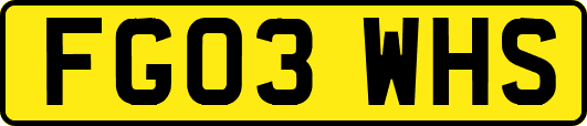 FG03WHS