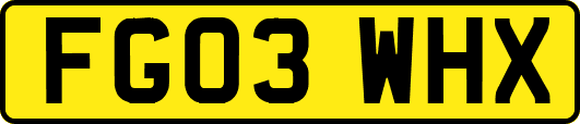 FG03WHX