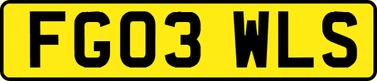 FG03WLS