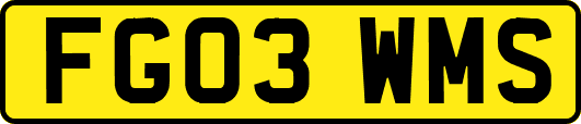 FG03WMS