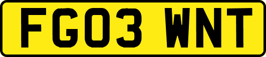 FG03WNT