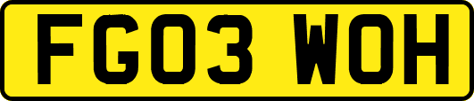 FG03WOH