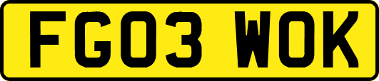 FG03WOK